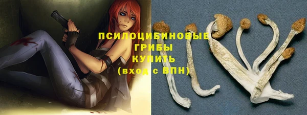 марихуана Белокуриха